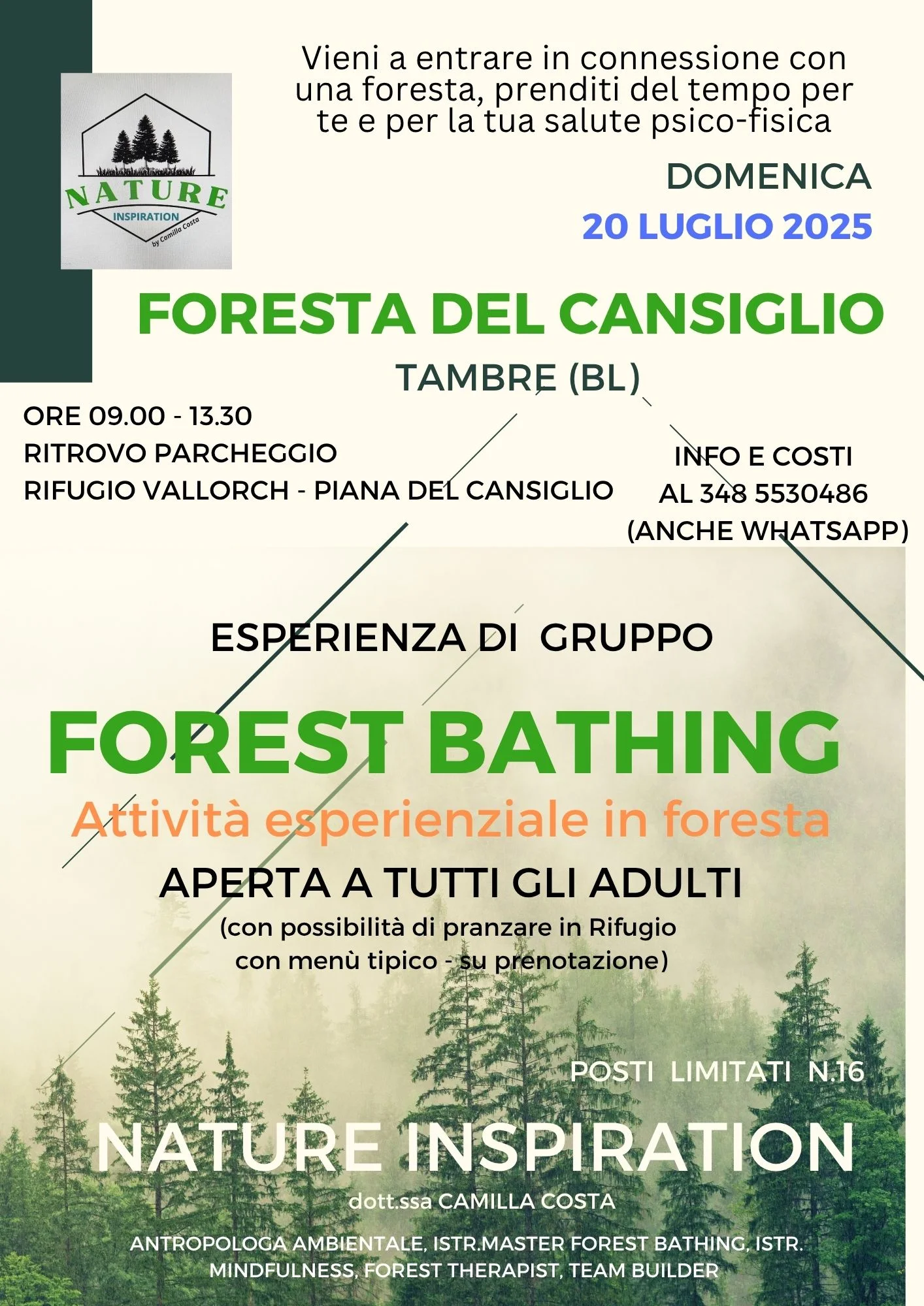 Cansiglio — Luglio 2025