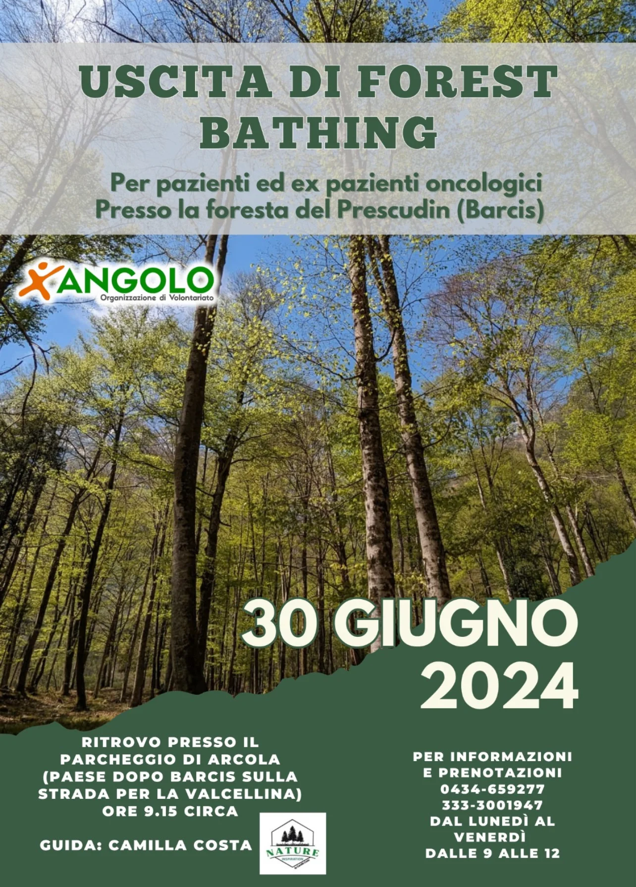 Attività — Giugno 2024