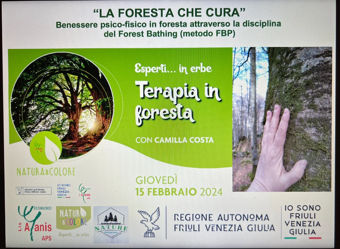 Seminario LIS AGANIS — Febbraio 2024